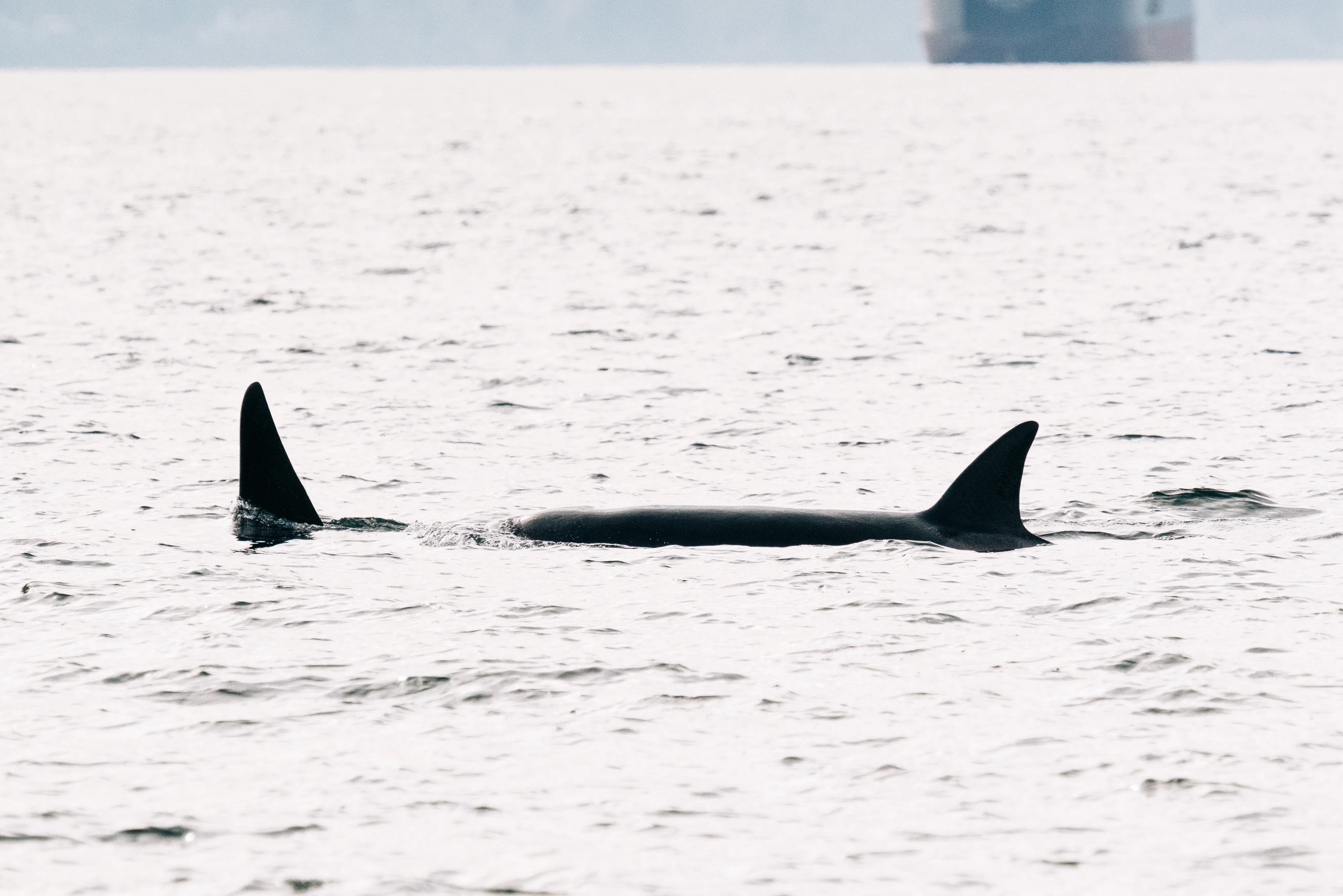 Anacortes, Washington