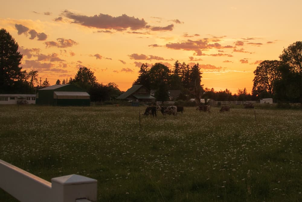 Battle Ground, Washington