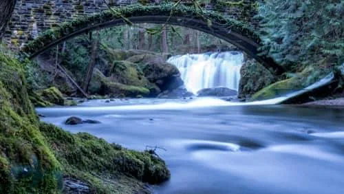 Bellingham, Washington