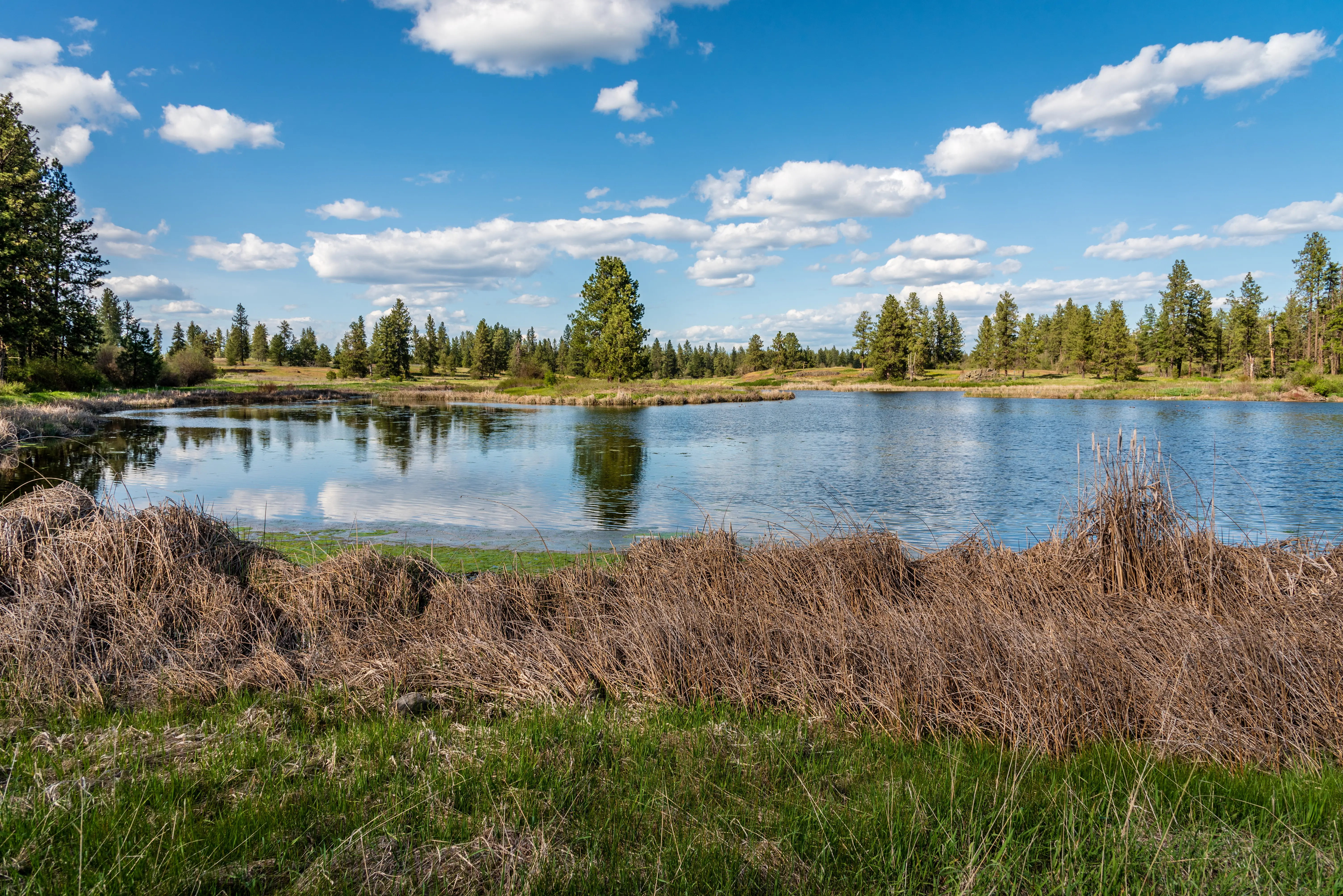 Cheney, Washington
