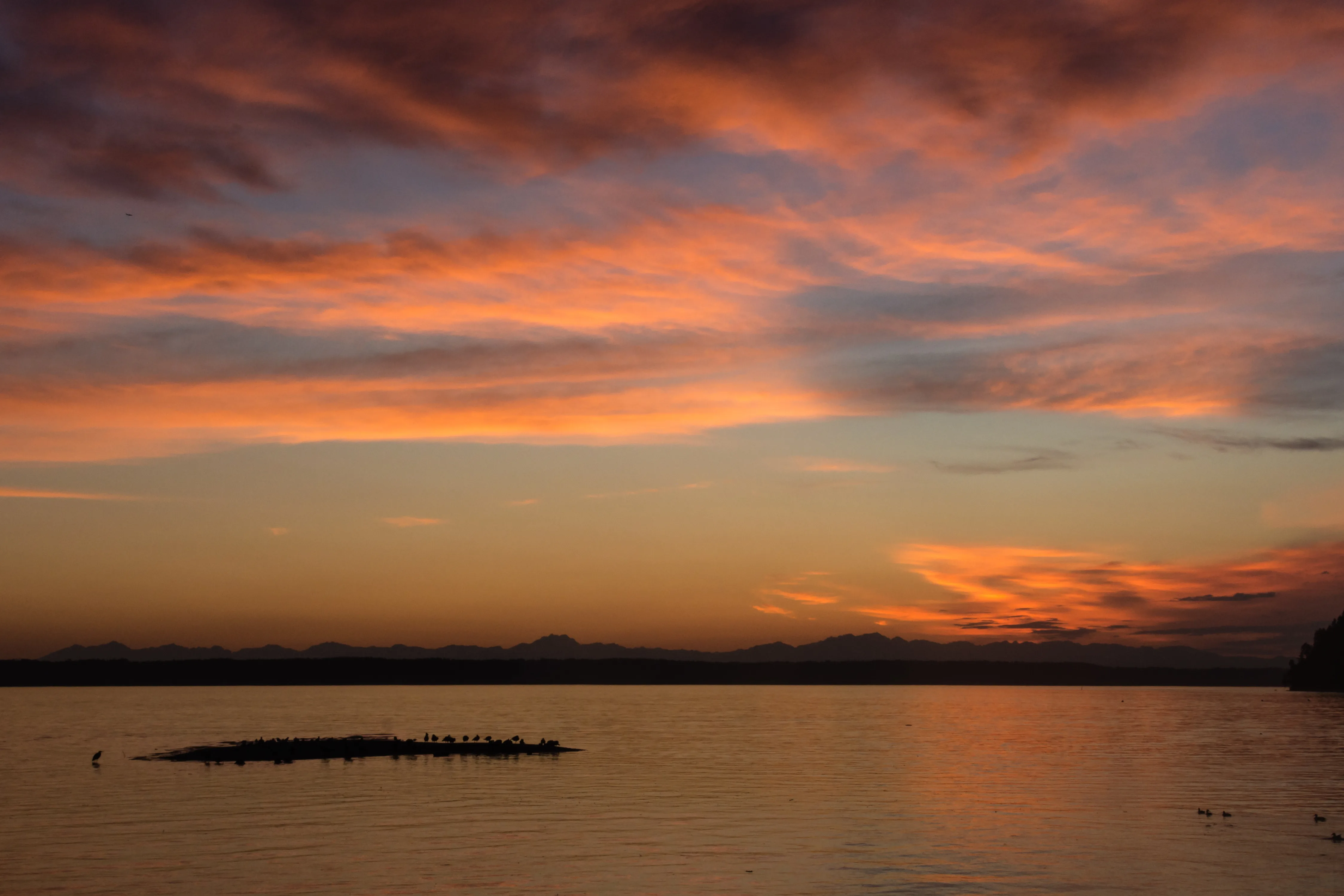 Des Moines, Washington