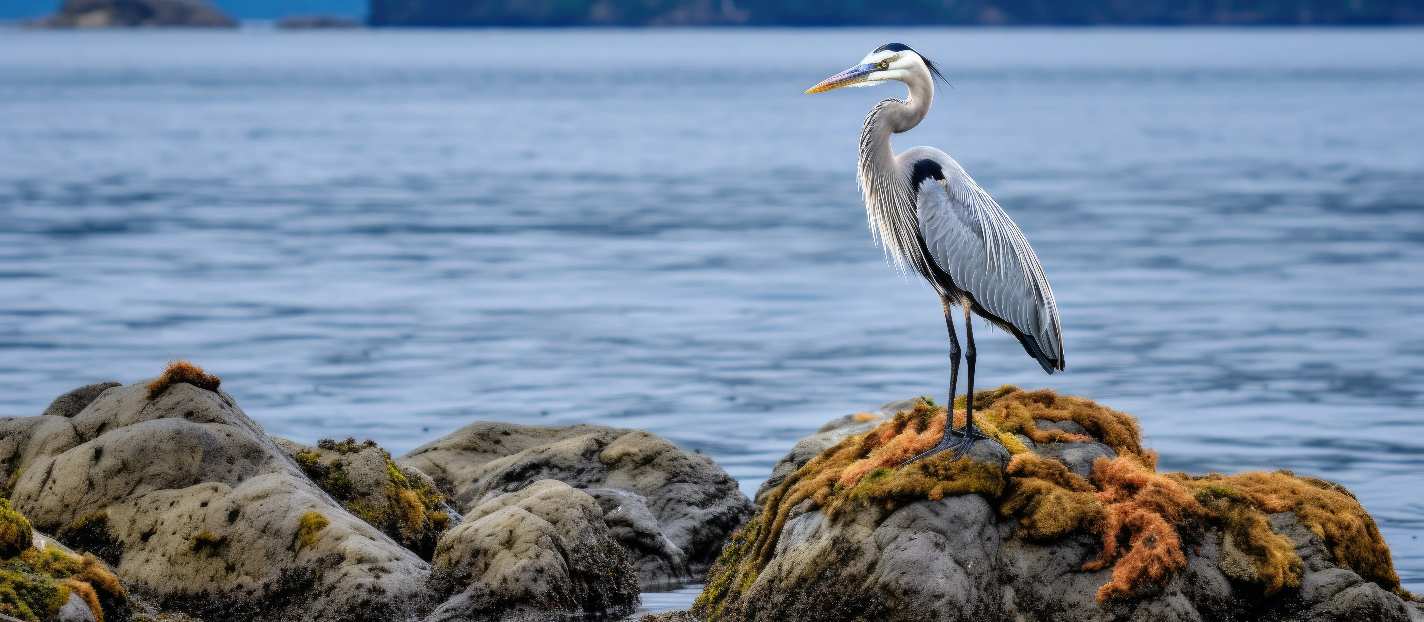 Des Moines, Washington
