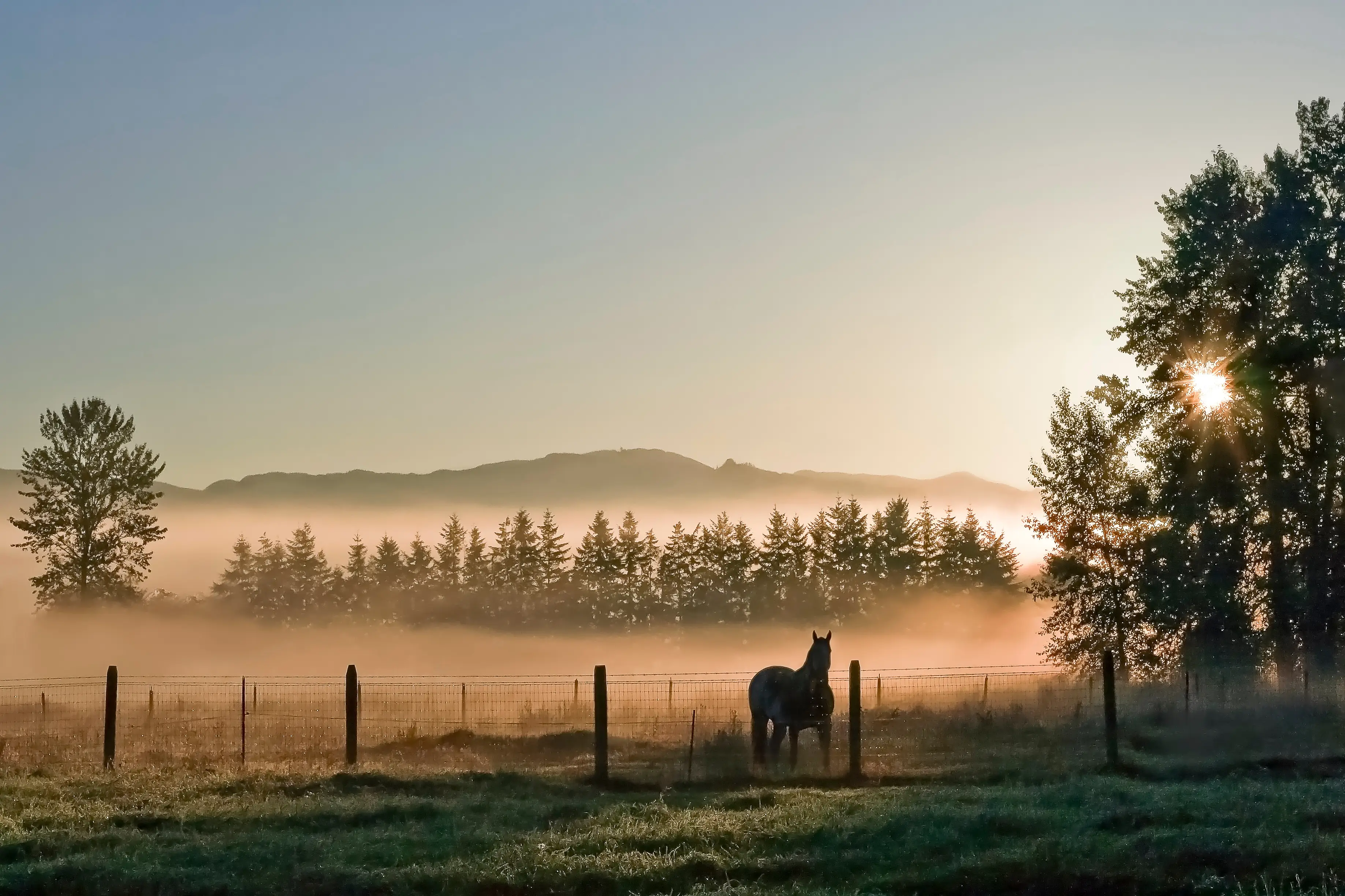 Enumclaw, Washington