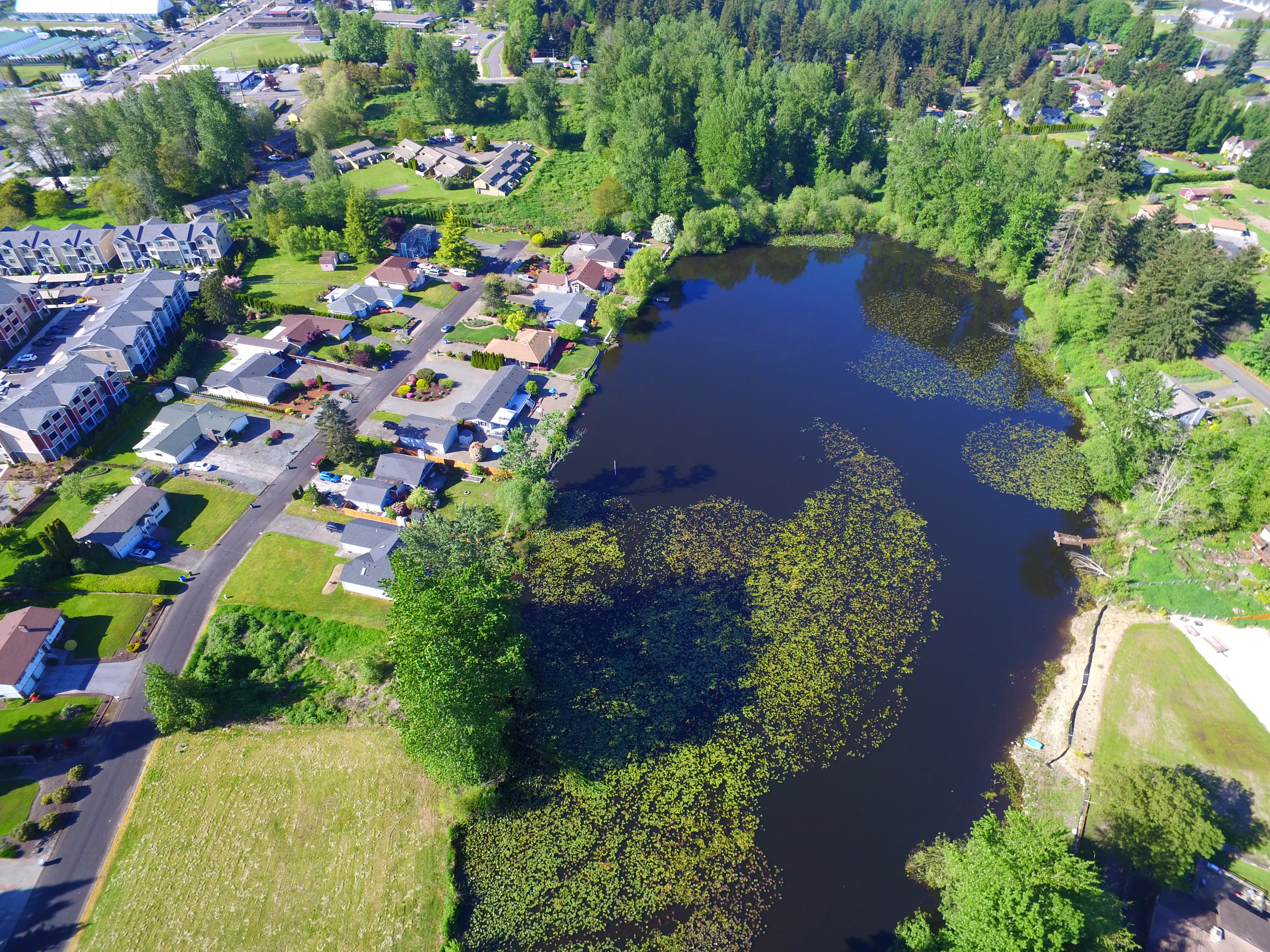 Federal Way, Washington