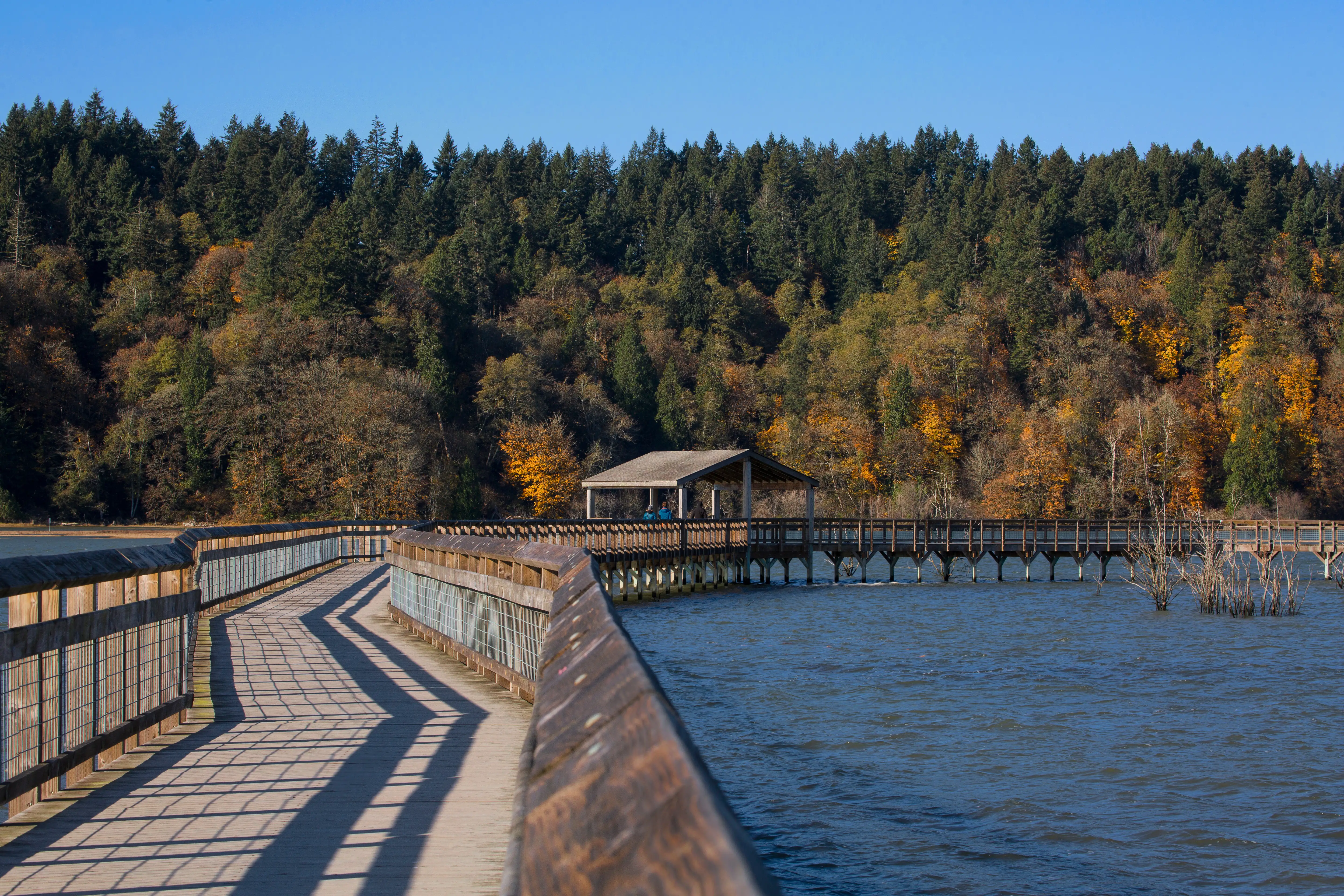 Scenic view of Fort Lewis, Washington