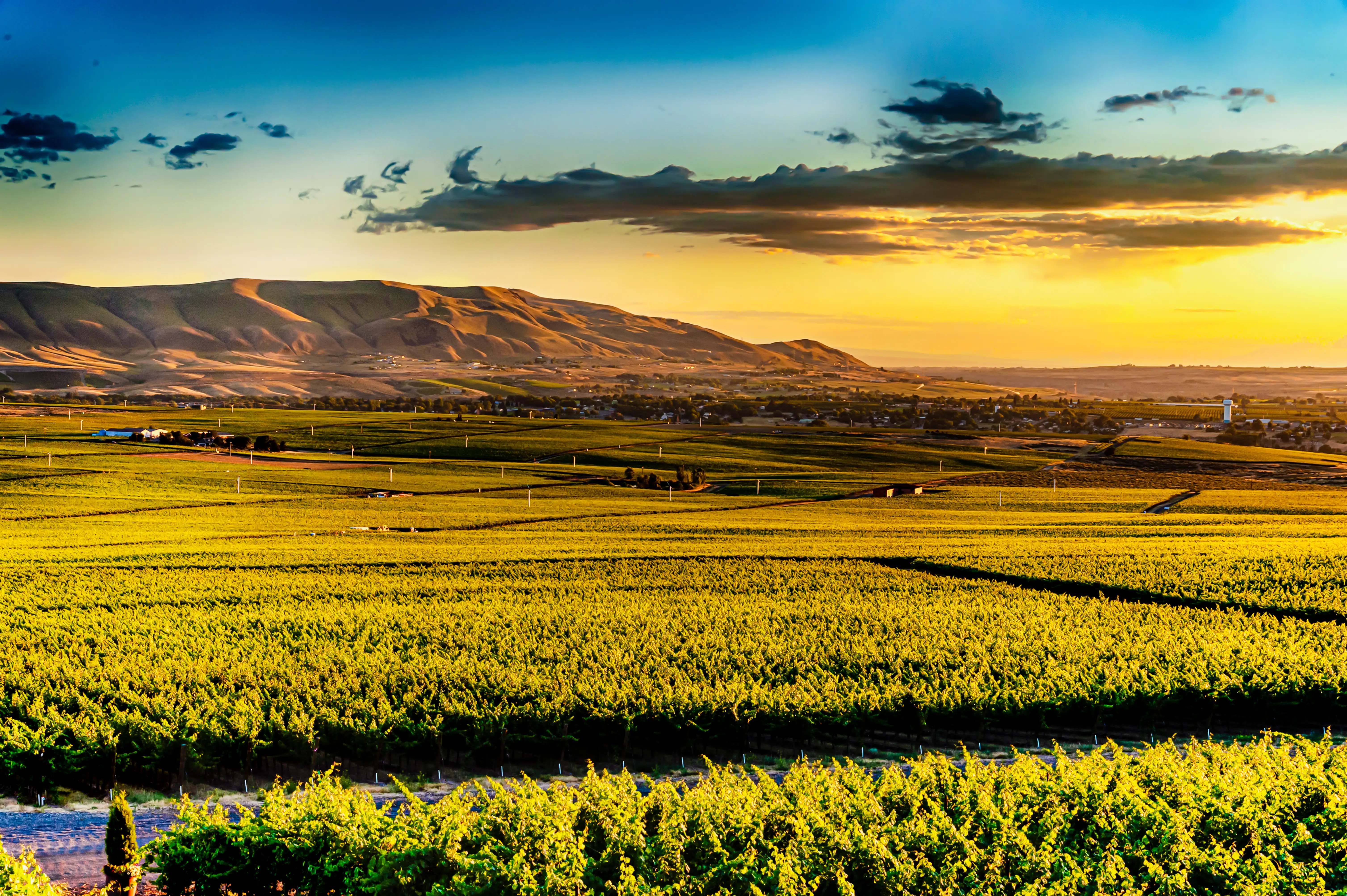Grandview Washington scenery