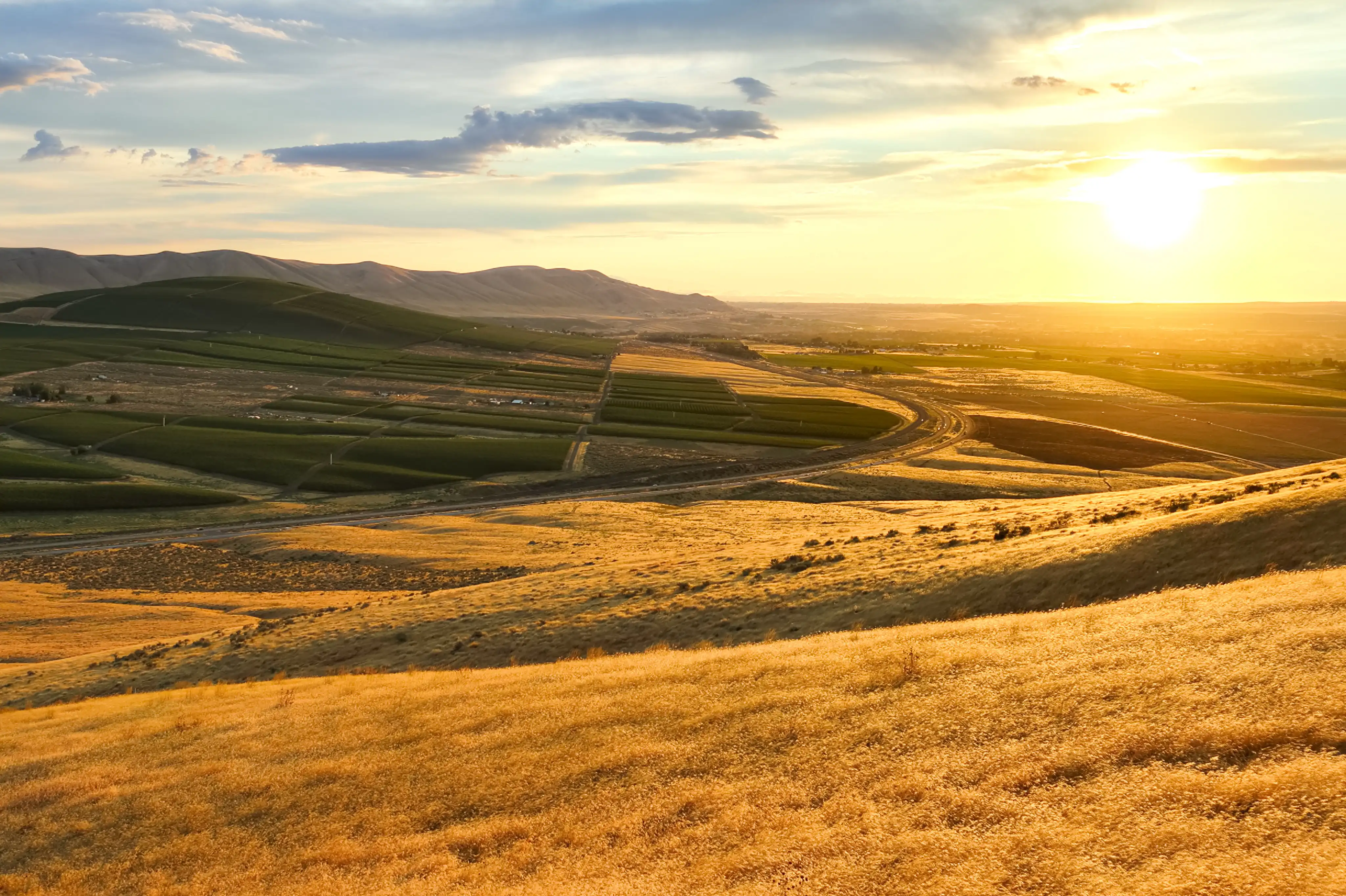 Kennewick, Washington