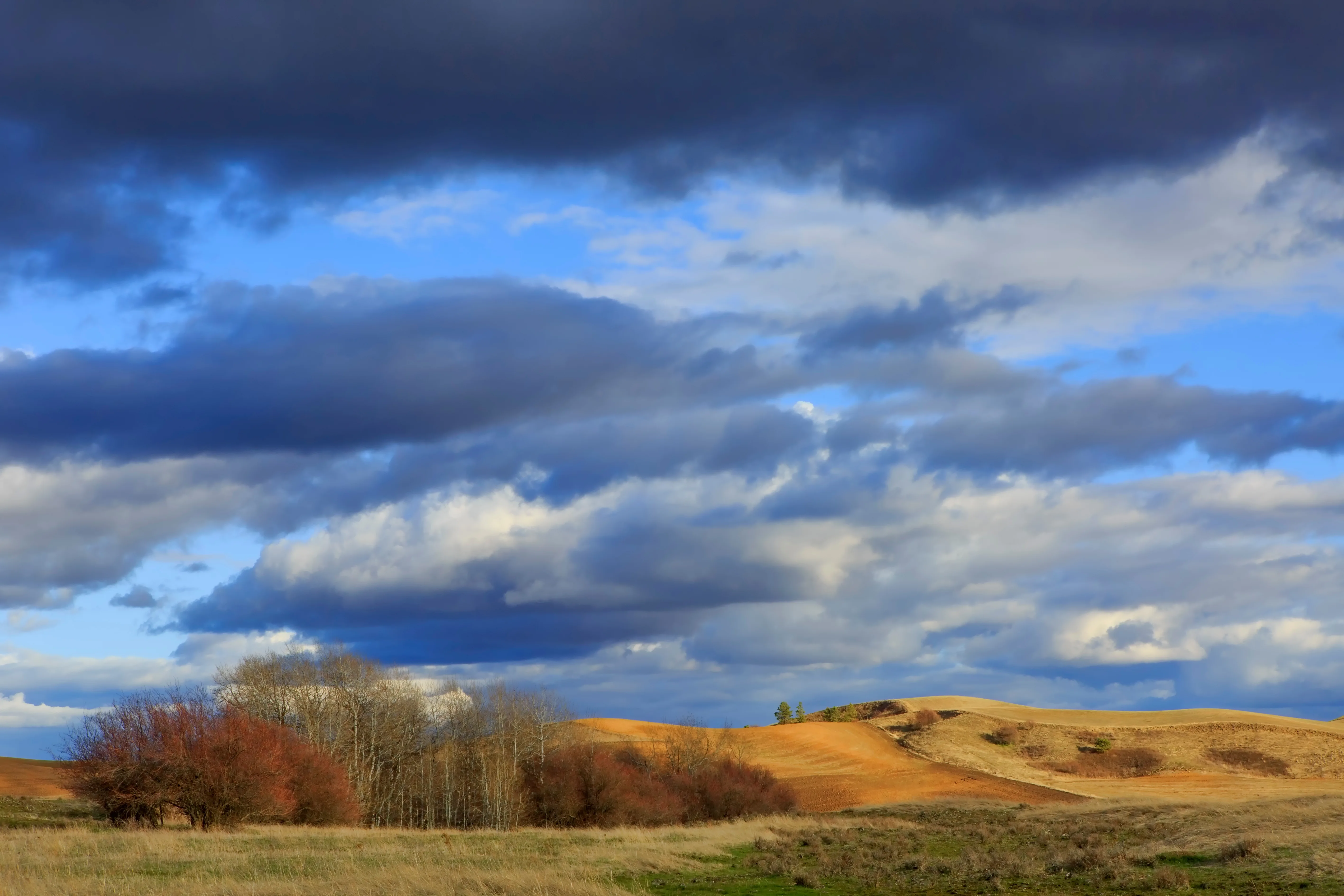 Living in Cheney, Washington