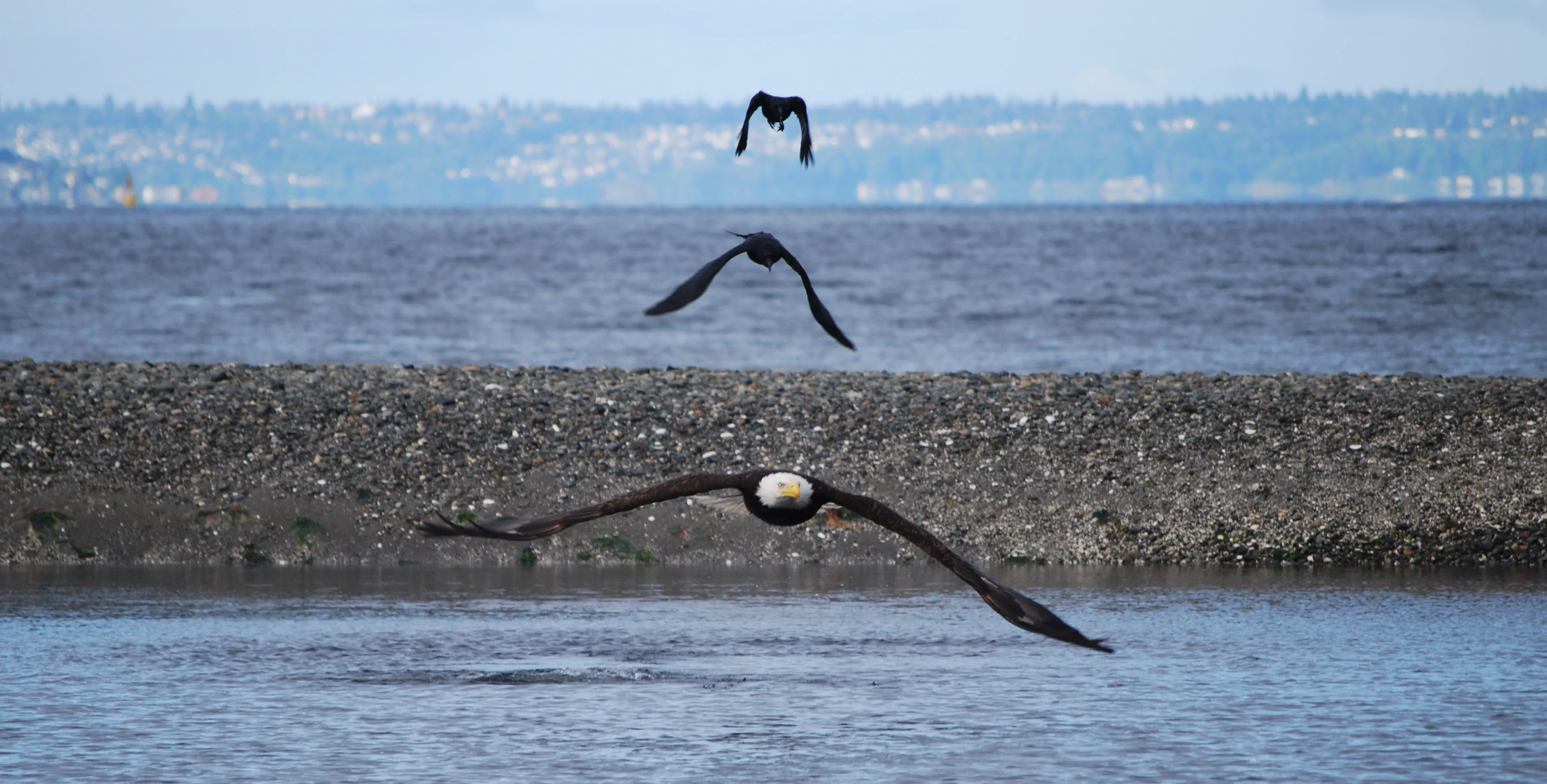 Living in Des Moines, Washington