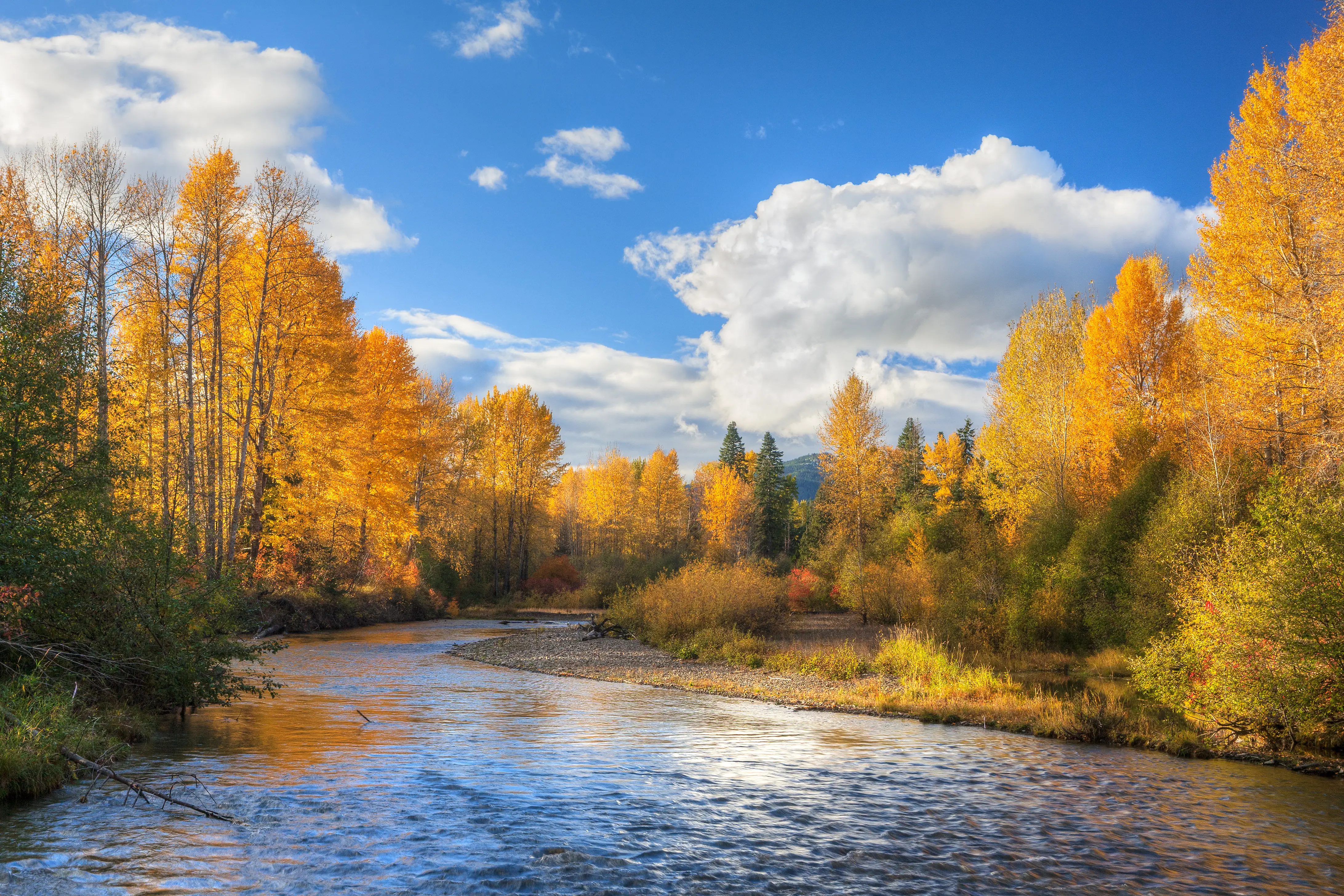 Monroe, Washington