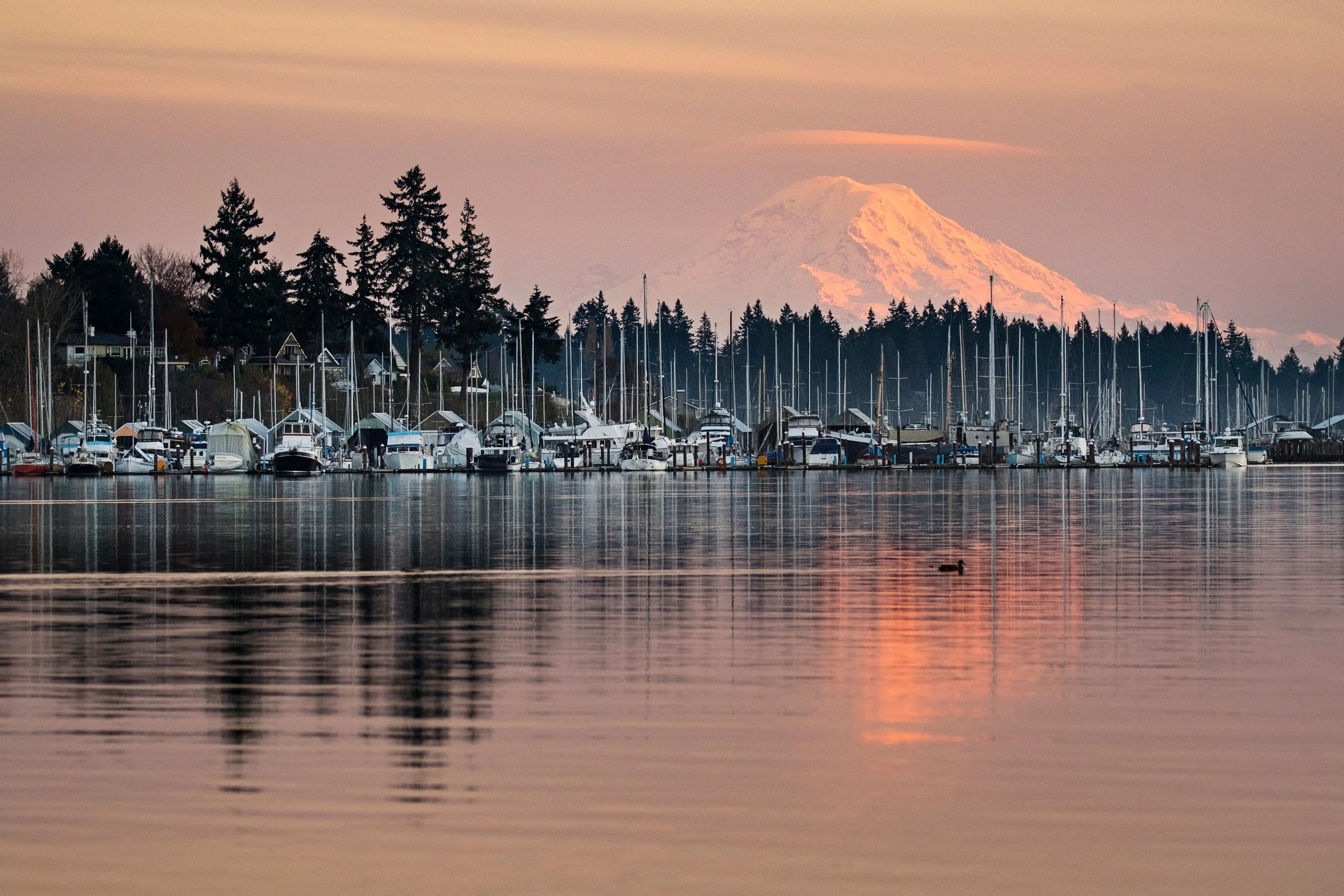 Poulsbo, Washington