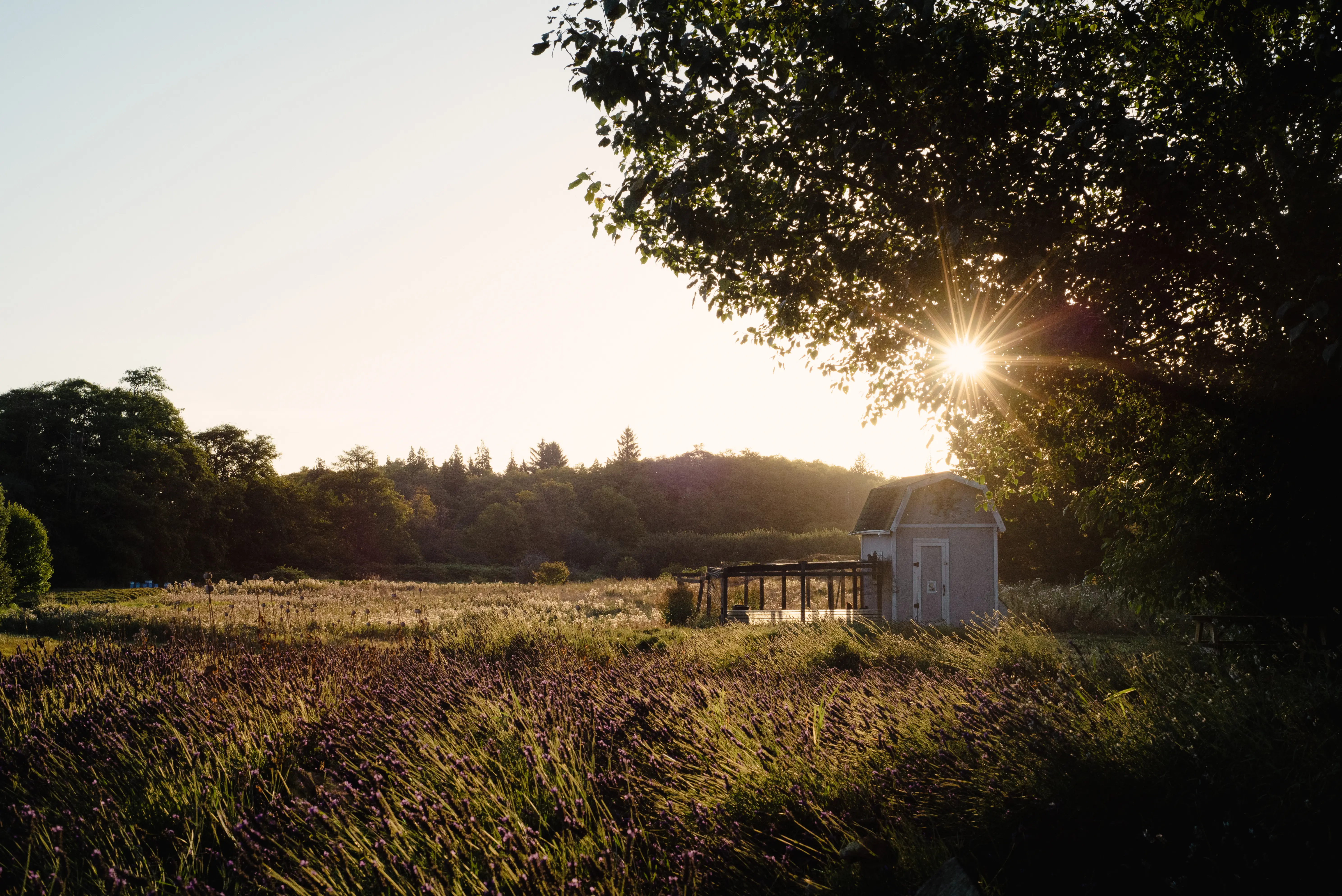 Sequim, Washington