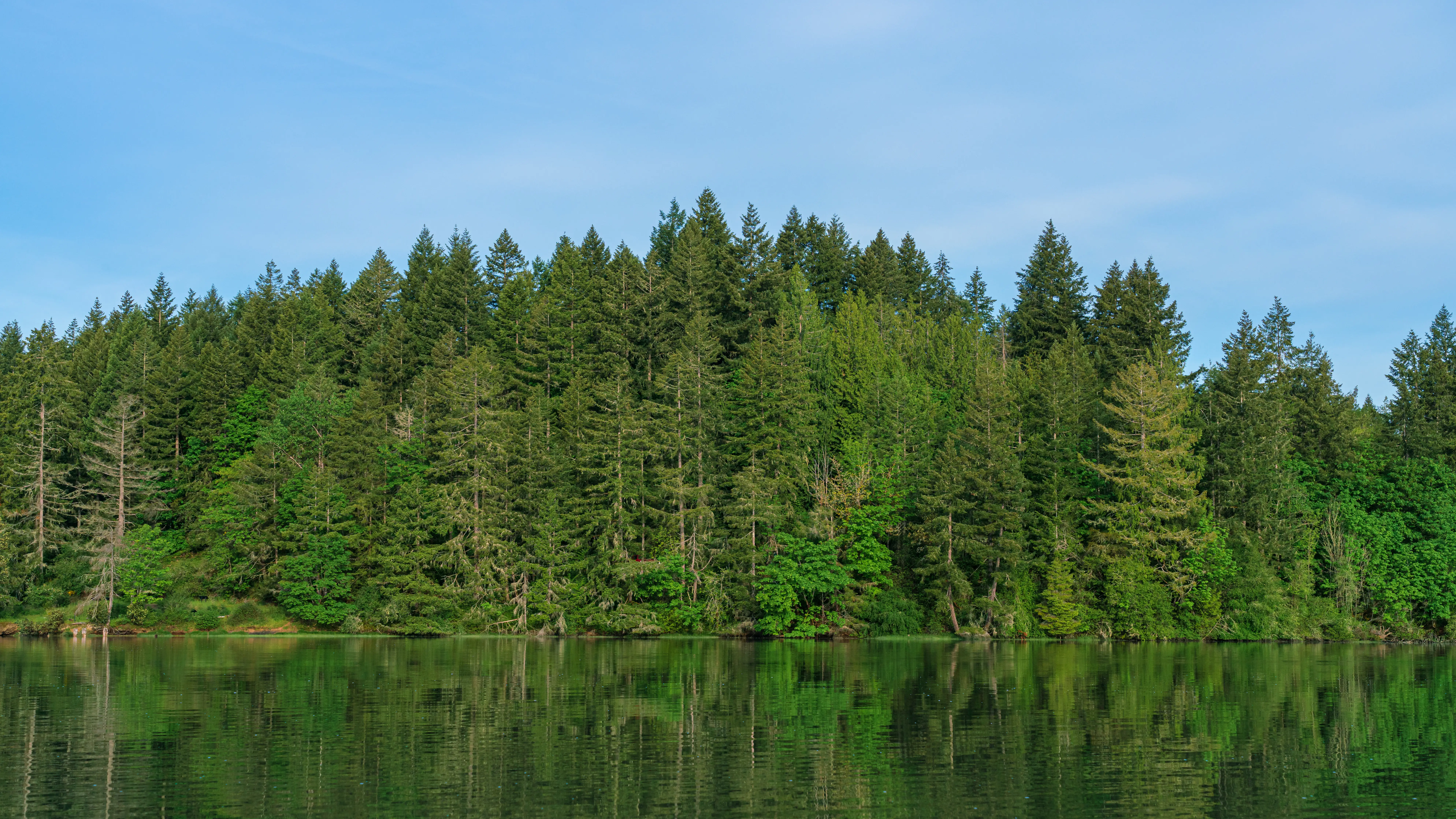 Shelton, Washington