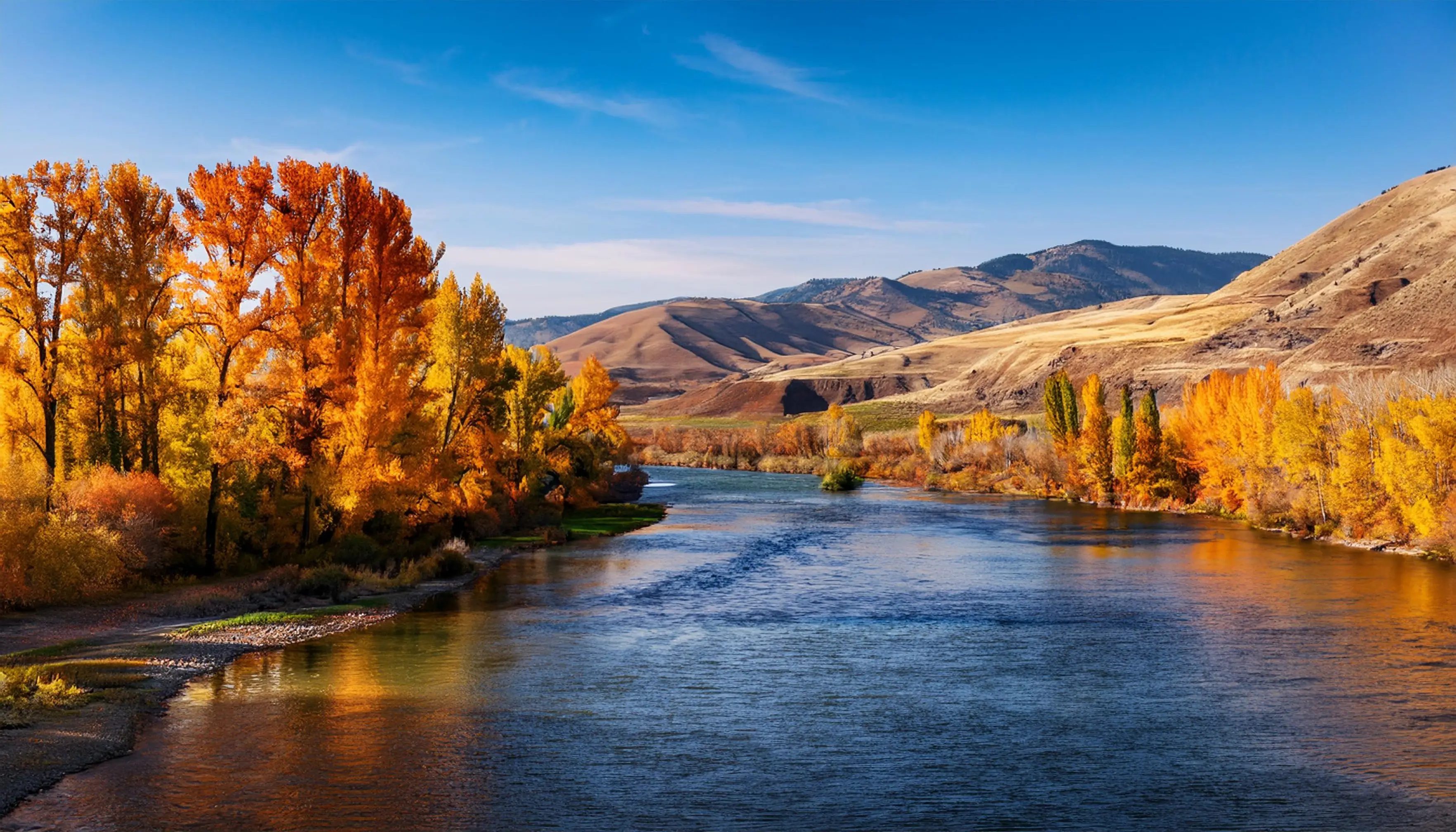 Sunnyside, Washington