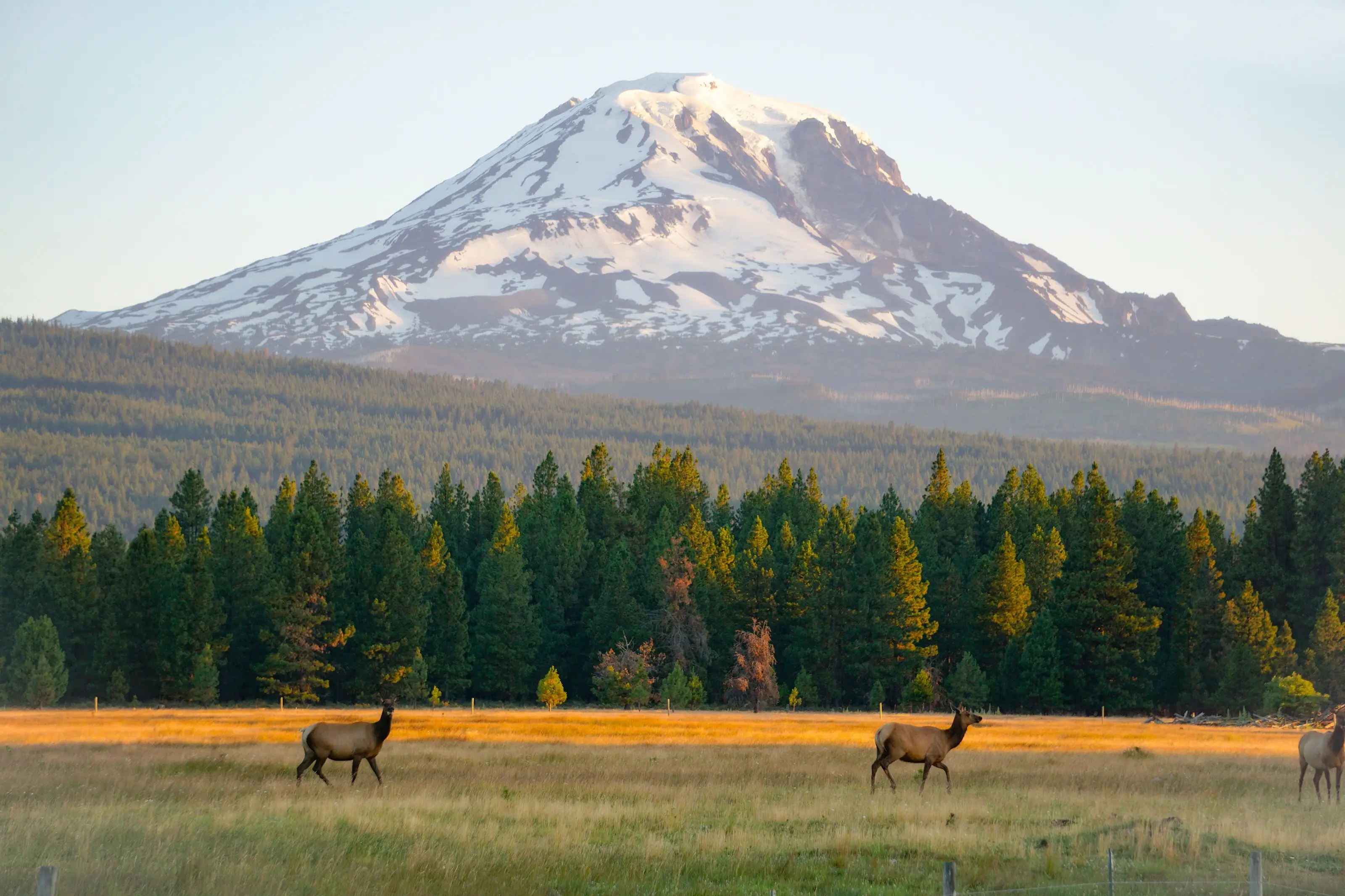 Toppenish, Washington