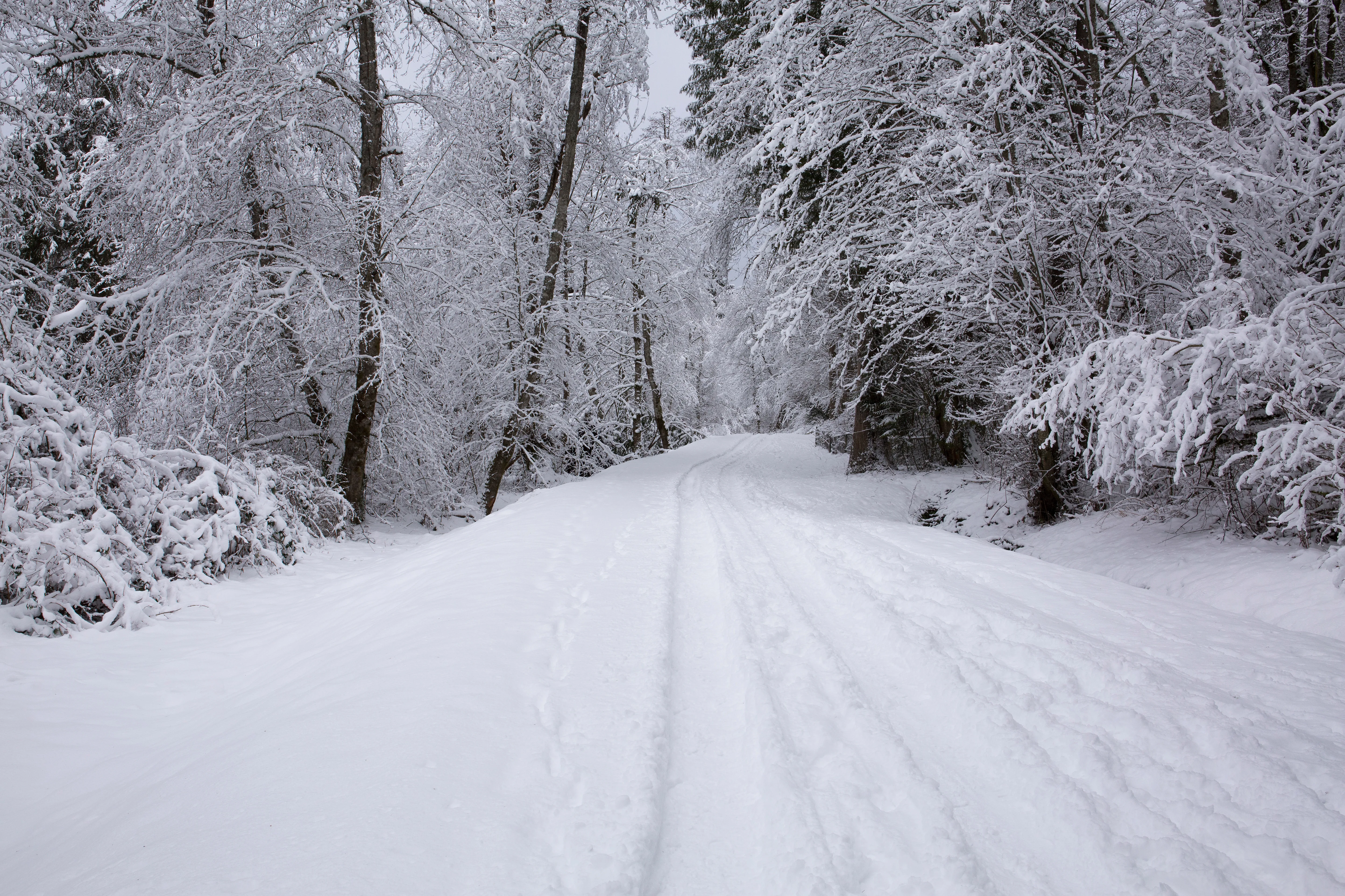 Maple Valley Washington neighborhood