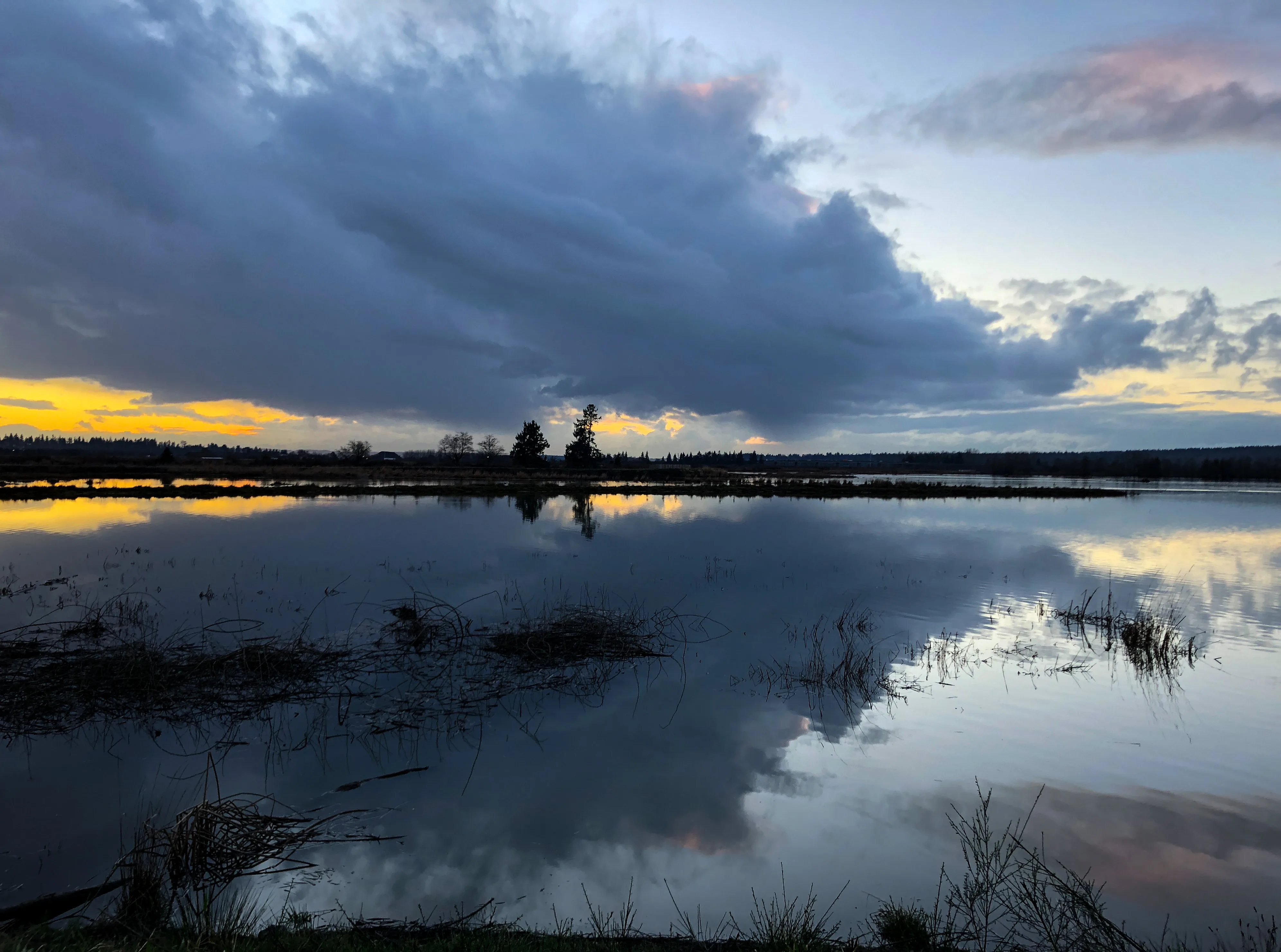 Marysville, Washington