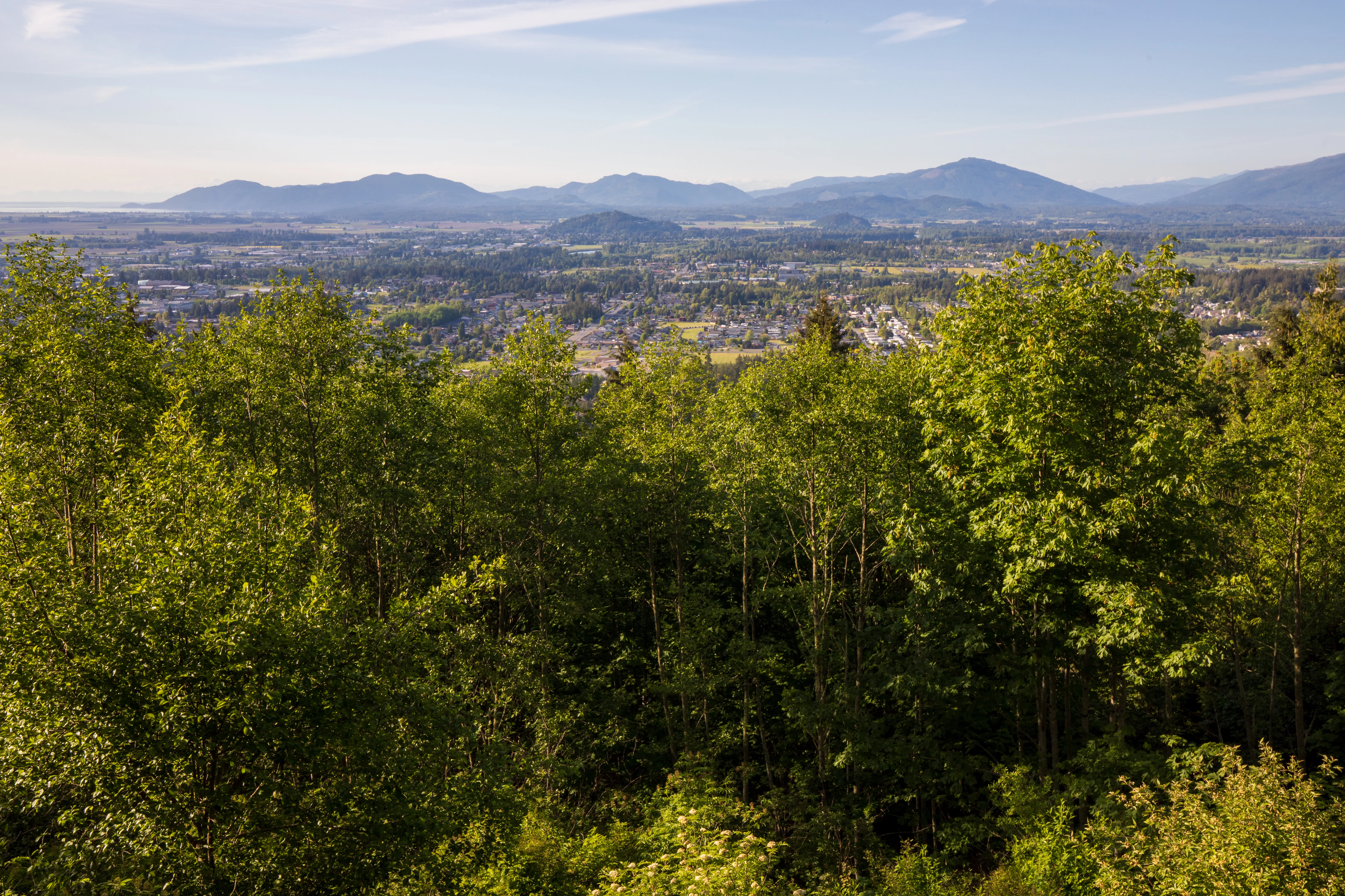 Mount Vernon, Washington