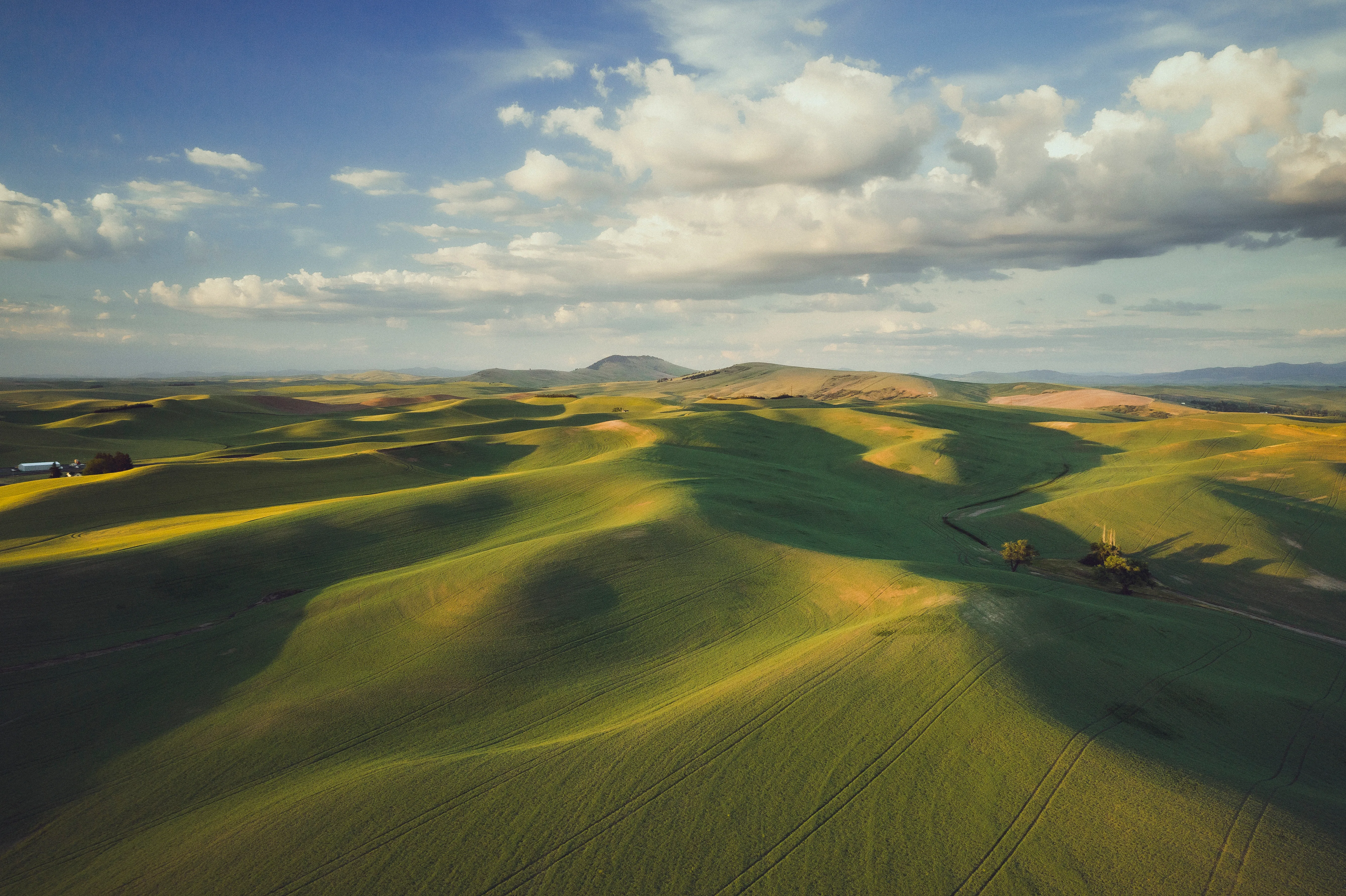 Pullman, Washington