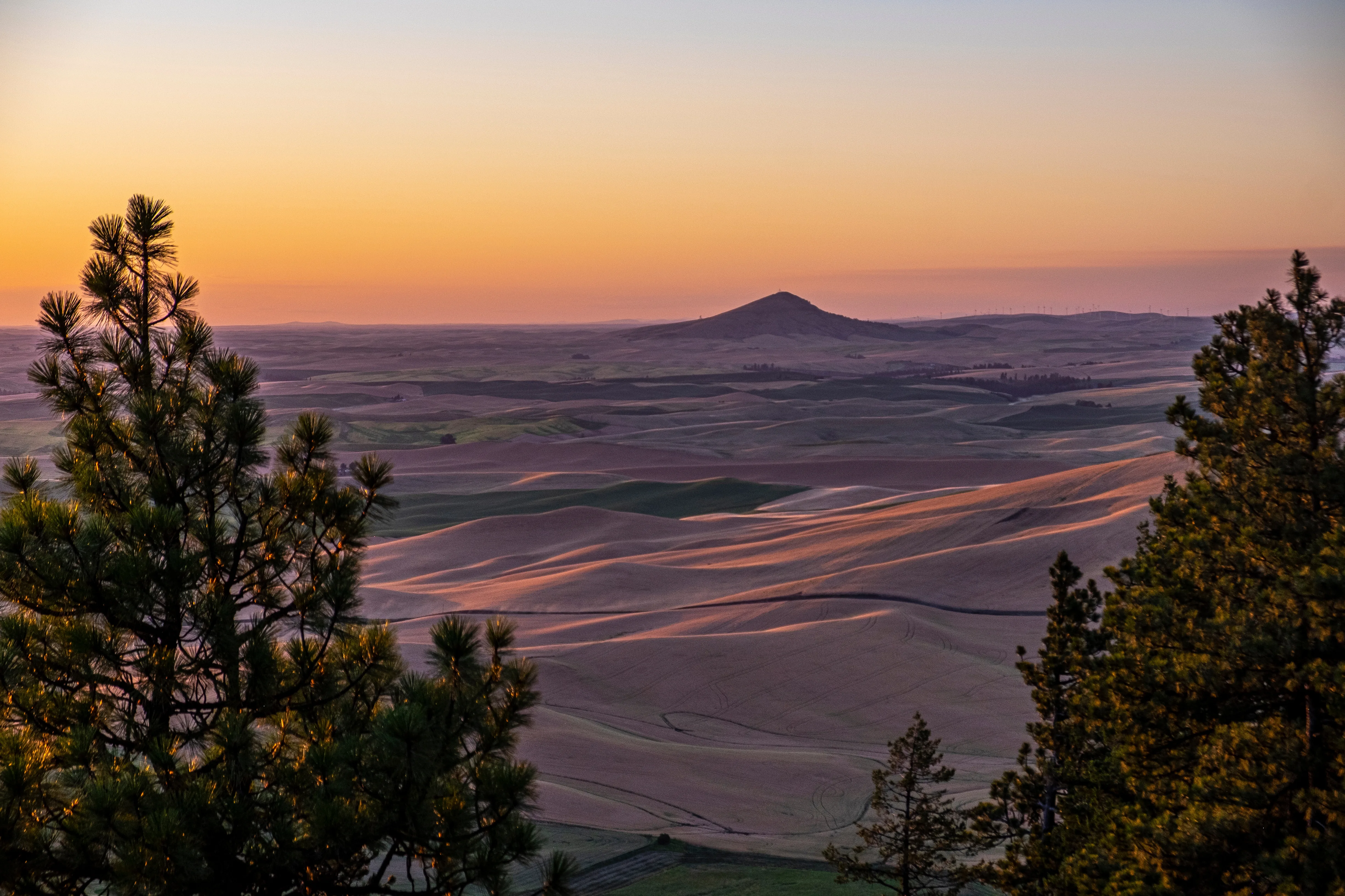 Pullman, Washington