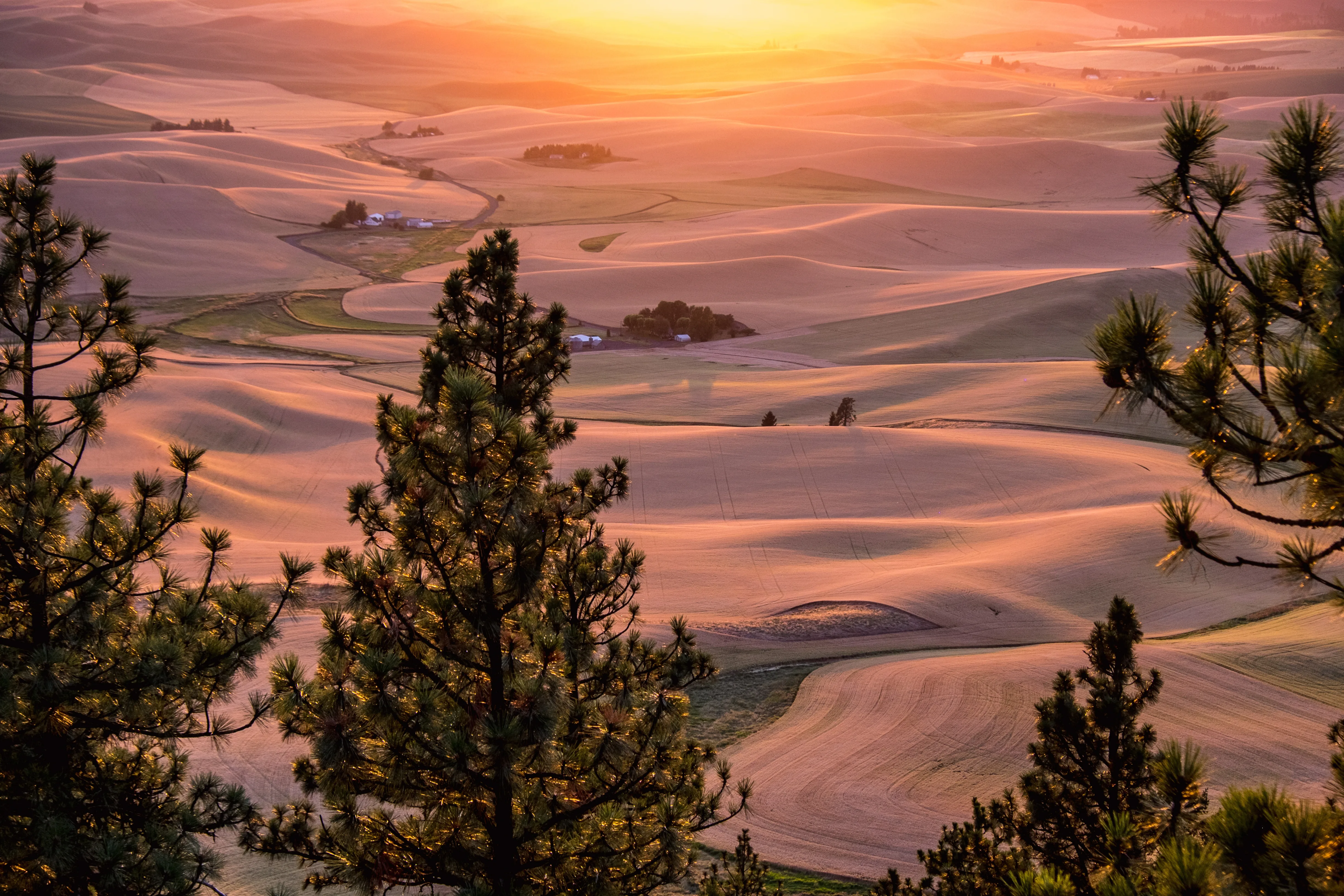 Pullman, Washington