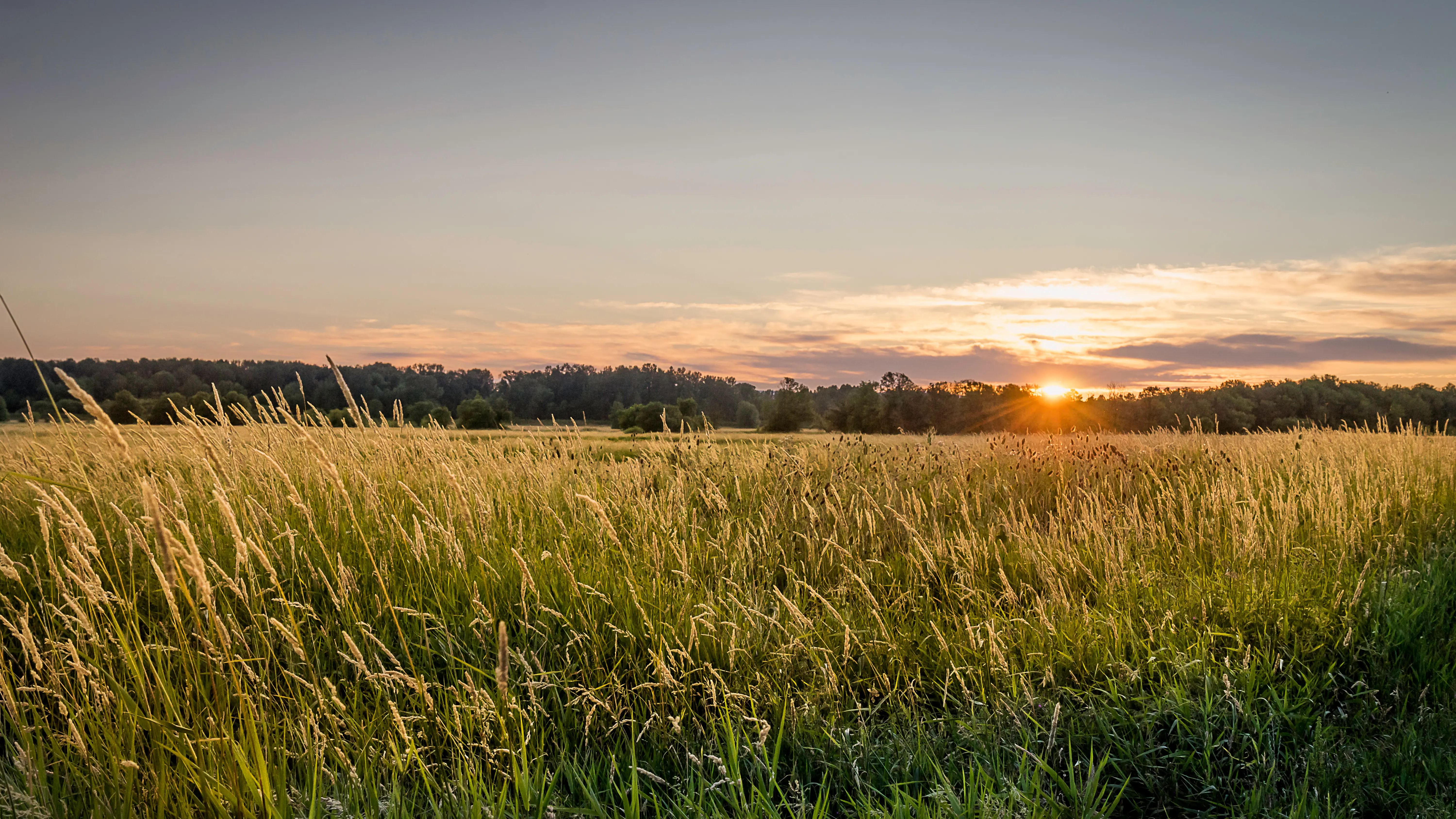 Ridgefield, Washington