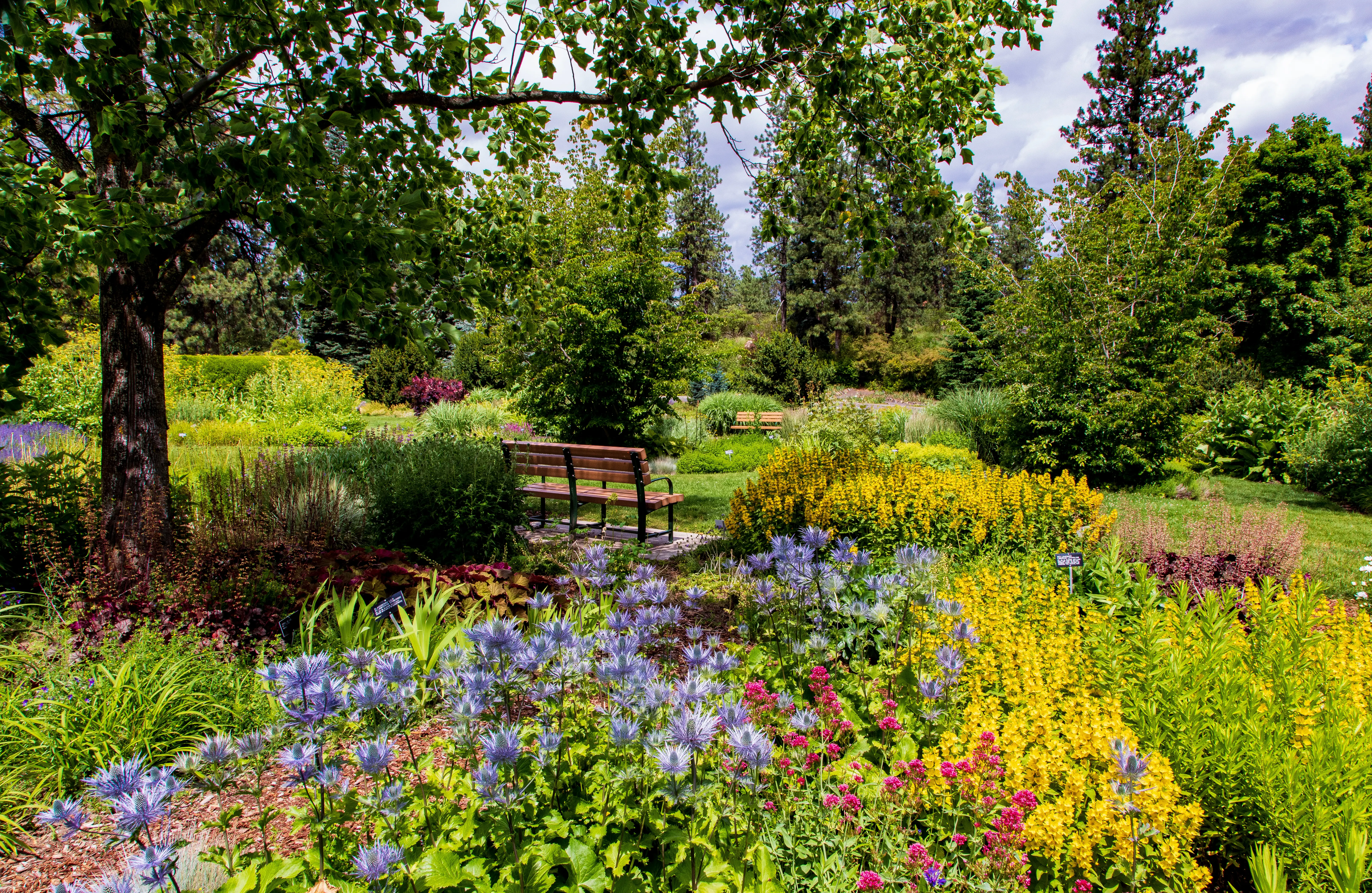 Spokane, Washington