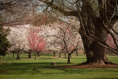 Yakima, Washington